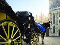 ������ҵAPP����